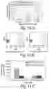 Fig. 17 - Compositions, Methods and Kits for Eliciting an Immune Response