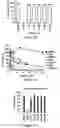 Fig. 04 - USE OF MEMBRANE INHIBITORS TO ENHANCE VACCINE DEVELOPMENT AGAINST ENVELOPED VIRUSES