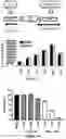 Fig. 06 - USE OF MEMBRANE INHIBITORS TO ENHANCE VACCINE DEVELOPMENT AGAINST ENVELOPED VIRUSES