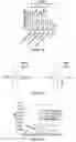Fig. 08 - USE OF MEMBRANE INHIBITORS TO ENHANCE VACCINE DEVELOPMENT AGAINST ENVELOPED VIRUSES