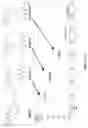 Fig. 10 - USE OF MEMBRANE INHIBITORS TO ENHANCE VACCINE DEVELOPMENT AGAINST ENVELOPED VIRUSES