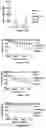 Fig. 14 - USE OF MEMBRANE INHIBITORS TO ENHANCE VACCINE DEVELOPMENT AGAINST ENVELOPED VIRUSES