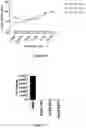 Fig. 15 - USE OF MEMBRANE INHIBITORS TO ENHANCE VACCINE DEVELOPMENT AGAINST ENVELOPED VIRUSES