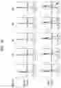 Fig. 09 - PEPTIDE ENCAPSULATING FERRITIN