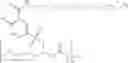 Fig. 60 - PROTEIN-MACROMOLECULE CONJUGATES AND METHODS OF USE THEREOF
