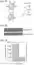 Fig. 05 - REFILLABLE DRUG DELIVERY DEVICES AND METHODS OF USE THEREOF