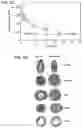 Fig. 10 - REFILLABLE DRUG DELIVERY DEVICES AND METHODS OF USE THEREOF