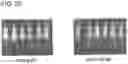 Fig. 35 - REFILLABLE DRUG DELIVERY DEVICES AND METHODS OF USE THEREOF