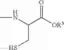 Fig. 23 - MEDICAL USES OF THIOL-FUNCTIONALIZED POLYGLYCEROL DERIVATIVES