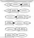 Fig. 02 - CELL-TARGETING MOLECULES COMPRISING SHIGA TOXIN A SUBUNIT EFFECTORS AND CD8+ T-CELL EPITOPES