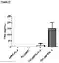 Fig. 31 - Immunomodulatory nanofilaments