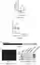 Fig. 12 - Compositions and methods for delivery of RNA