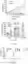 Fig. 18 - Compositions and methods for delivery of RNA