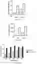 Fig. 21 - Compositions and methods for delivery of RNA