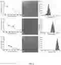 Fig. 03 - COMPOSITION AND METHOD FOR TREATMENT OF MULTIPLE SCLEROSIS