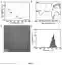 Fig. 08 - COMPOSITION AND METHOD FOR TREATMENT OF MULTIPLE SCLEROSIS