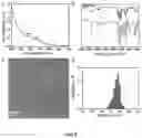 Fig. 09 - COMPOSITION AND METHOD FOR TREATMENT OF MULTIPLE SCLEROSIS
