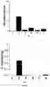 Fig. 12 - COMPOSITION AND METHOD FOR TREATMENT OF MULTIPLE SCLEROSIS
