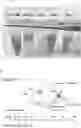 Fig. 01 - CARDIOPROTECTIVE MICROBUBBLE-LIPOSOMAL DRUG COMPLEXES