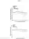 Fig. 08 - CARDIOPROTECTIVE MICROBUBBLE-LIPOSOMAL DRUG COMPLEXES