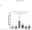 Fig. 13 - CARDIOPROTECTIVE MICROBUBBLE-LIPOSOMAL DRUG COMPLEXES