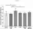 Fig. 14 - CARDIOPROTECTIVE MICROBUBBLE-LIPOSOMAL DRUG COMPLEXES
