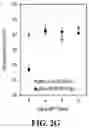 Fig. 07 - COMPOSITIONALLY DEFINED PLASMID DNA/POLYCATION NANOPARTICLES AND METHODS FOR MAKING THE SAME