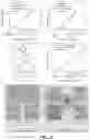 Fig. 09 - COMPOSITIONALLY DEFINED PLASMID DNA/POLYCATION NANOPARTICLES AND METHODS FOR MAKING THE SAME