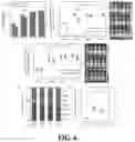 Fig. 11 - COMPOSITIONALLY DEFINED PLASMID DNA/POLYCATION NANOPARTICLES AND METHODS FOR MAKING THE SAME