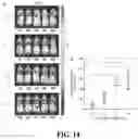 Fig. 19 - COMPOSITIONALLY DEFINED PLASMID DNA/POLYCATION NANOPARTICLES AND METHODS FOR MAKING THE SAME