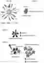 Fig. 02 - GOLD NANOPARTICLES/NANOSHELLS IMMUNE CONJUGATES FOR ENHANCED IMMUNOTHERAPY AND PHOTOTHERMAL THERAPY FOR HEMATOLOGIC MALIGNANCIES
