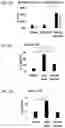 Fig. 11 - GOLD NANOPARTICLES/NANOSHELLS IMMUNE CONJUGATES FOR ENHANCED IMMUNOTHERAPY AND PHOTOTHERMAL THERAPY FOR HEMATOLOGIC MALIGNANCIES