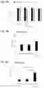 Fig. 12 - GOLD NANOPARTICLES/NANOSHELLS IMMUNE CONJUGATES FOR ENHANCED IMMUNOTHERAPY AND PHOTOTHERMAL THERAPY FOR HEMATOLOGIC MALIGNANCIES