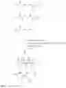 Fig. 04 - Nanostructured active ingredient carrier system