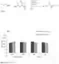 Fig. 08 - Nanostructured active ingredient carrier system