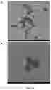 Fig. 25 - Upconversion nanoparticle peptide conjugates
