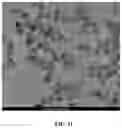 Fig. 26 - Upconversion nanoparticle peptide conjugates
