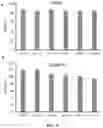 Fig. 37 - Upconversion nanoparticle peptide conjugates