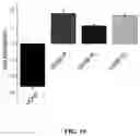 Fig. 39 - Upconversion nanoparticle peptide conjugates
