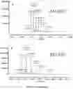 Fig. 46 - Upconversion nanoparticle peptide conjugates