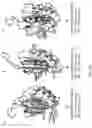 Fig. 52 - Upconversion nanoparticle peptide conjugates
