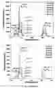 Fig. 57 - Upconversion nanoparticle peptide conjugates