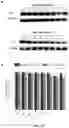 Fig. 79 - Upconversion nanoparticle peptide conjugates