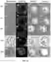 Fig. 94 - Upconversion nanoparticle peptide conjugates