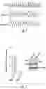 Fig. 02 - OPTIDICER CONSTRUCT FOR AGE-RELATED MACULAR DEGENERATION