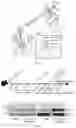 Fig. 15 - USE OF SUMF2 GENE AS A GENE THERAPY TARGET FOR PREVENTING AND/OR TREATING ALLERGIC ASTHMA ATTACK AND REDUCING AIRWAY HYPERRESPONSIVENESS