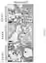 Fig. 16 - USE OF SUMF2 GENE AS A GENE THERAPY TARGET FOR PREVENTING AND/OR TREATING ALLERGIC ASTHMA ATTACK AND REDUCING AIRWAY HYPERRESPONSIVENESS