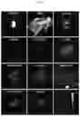 Fig. 09 - A UROKINASE PLASMINOGEN ACTIVATOR RECEPTOR-TARGETING PEPTIDE