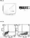 Fig. 14 - CARBON QUANTUM DOTS AND USES THEREOF