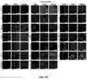 Fig. 15 - CARBON QUANTUM DOTS AND USES THEREOF